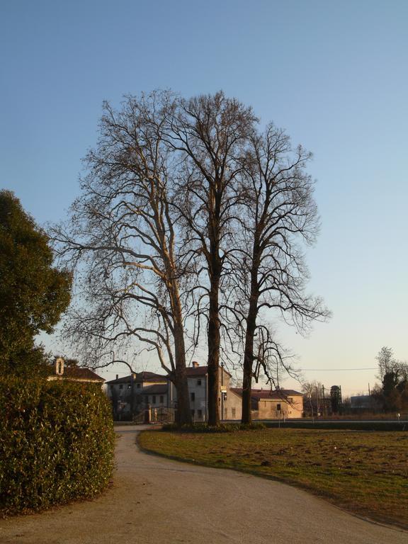 B&B Giardino Jappelli Rosà Eksteriør bilde